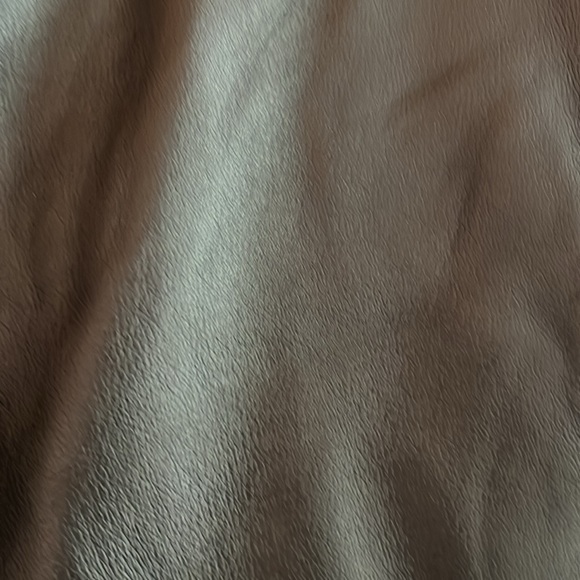 Northbound Leather Pants - Picture 11 of 11